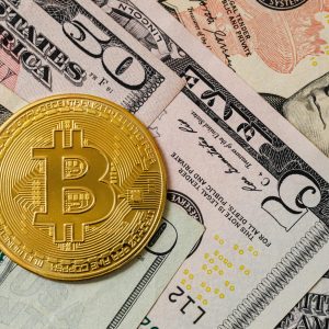 الأوراق المالية وأسواق رأس المال