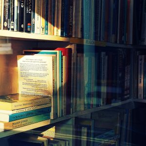علم الاجتماع