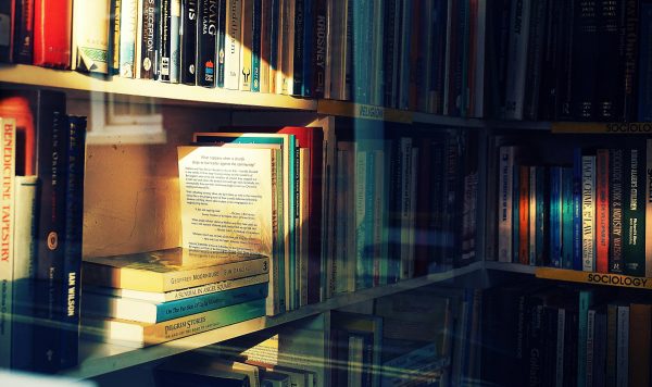 علم الاجتماع