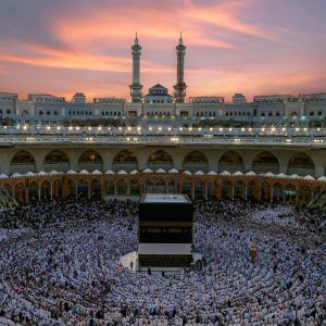 محددات فاعلية المراجعة الداخلية لدى المنشآت في المملكة العربية السعودية
