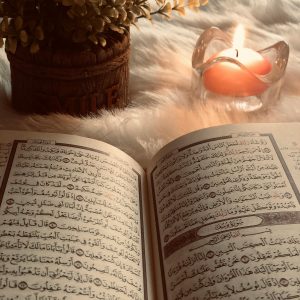 المبادئ القانونية العامة