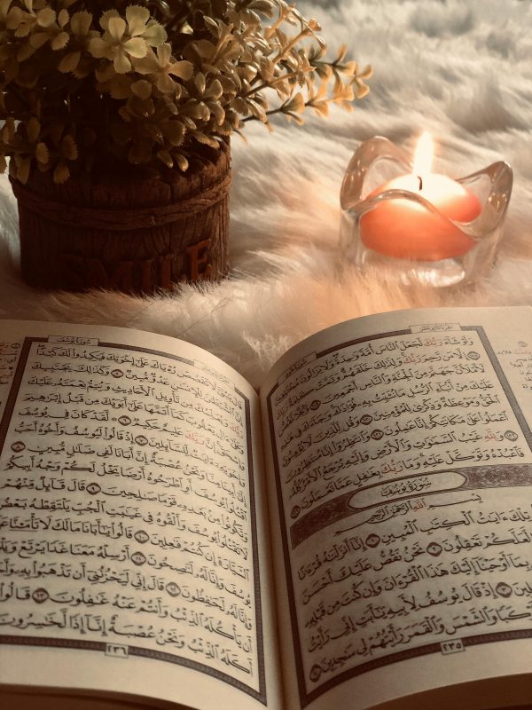 المبادئ القانونية العامة