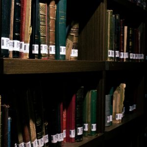 مدخل عام لمادة تاريخ النظم القانونية
