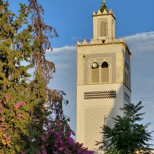 القواعد الفقهية في الشريعة الإسلامية