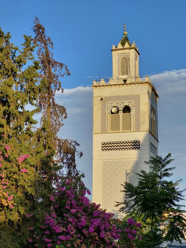 القواعد الفقهية في الشريعة الإسلامية