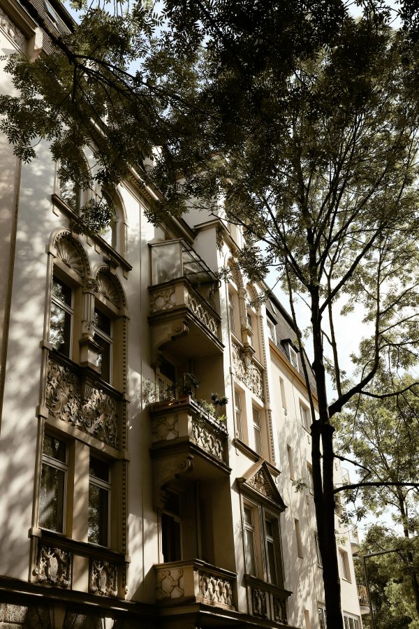 نظرية التنمية السياسية
