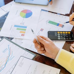 دور البيانات والمعلومات المحاسبية وتأثيرها على تخطيط المشروعات الاستثمارية