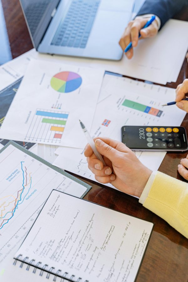 دور البيانات والمعلومات المحاسبية وتأثيرها على تخطيط المشروعات الاستثمارية